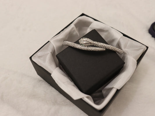 Snake Embrace Bracelet | Silver